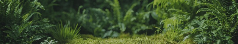 Pine Environmental Services