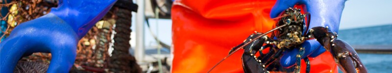 Atlantic Sustainable Catch